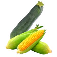 Courgette of verse maiskolf